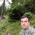 Recenzii