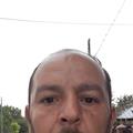Recenzii