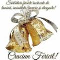 Recenzii