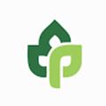 Terra Plant