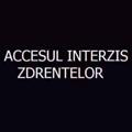 Recenzii