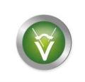 Vitreum