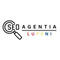 Recenzii