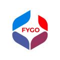 Echipa Fygo
